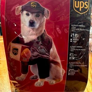 Dogs costume